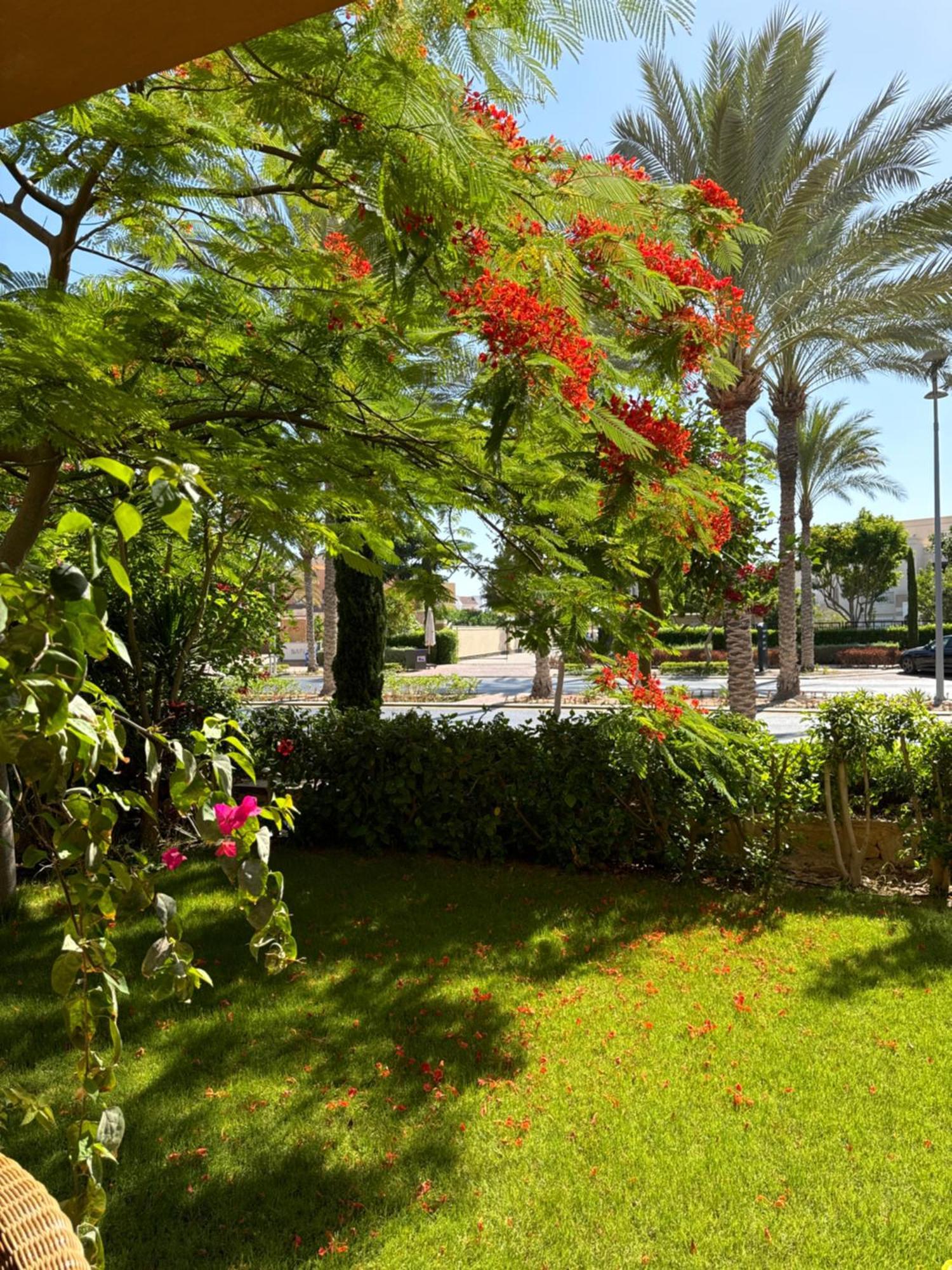 Marassi,El Alamein, Twin House Verdi Villa Dış mekan fotoğraf